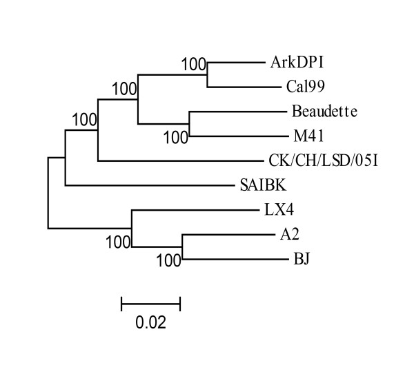 Figure 2