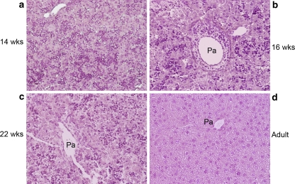 Fig. 1