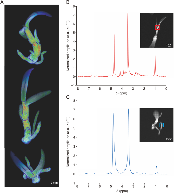 Fig. 1