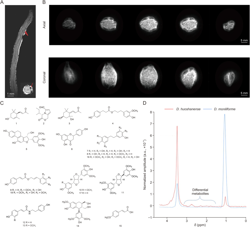 Fig. 2