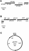 FIG. 1.