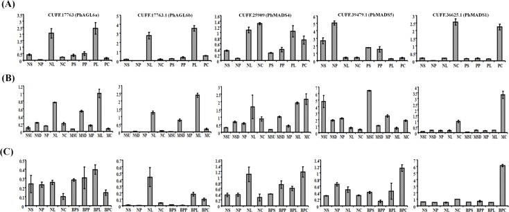 Fig 6