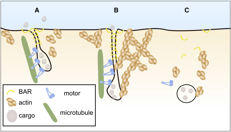 Figure 6