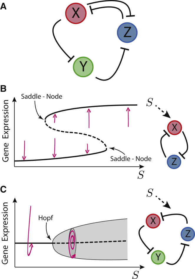 Figure 1