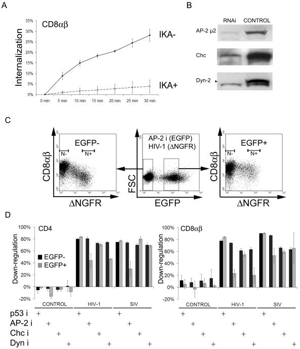 FIG. 7.