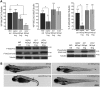 Figure 4.