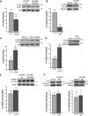 Figure 2.