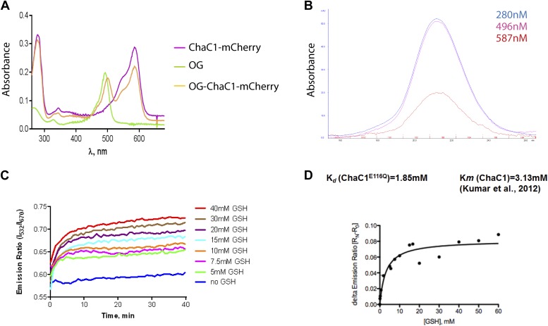 Figure 1—figure supplement 1.