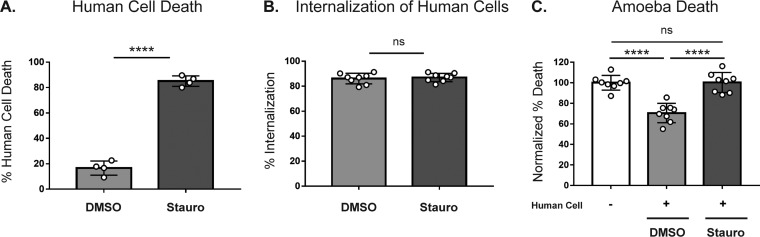 FIG 6