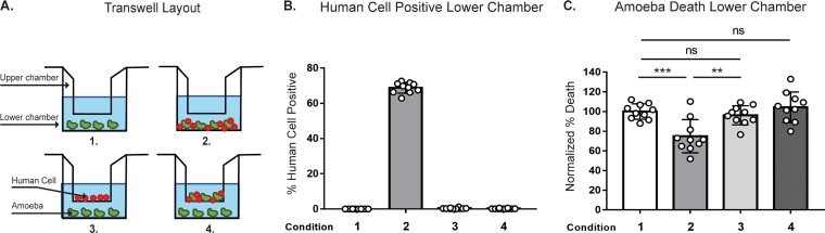 FIG 4