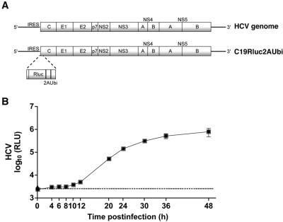 FIG.1.