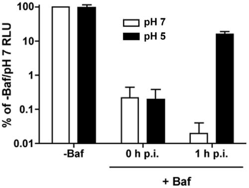 FIG. 6.