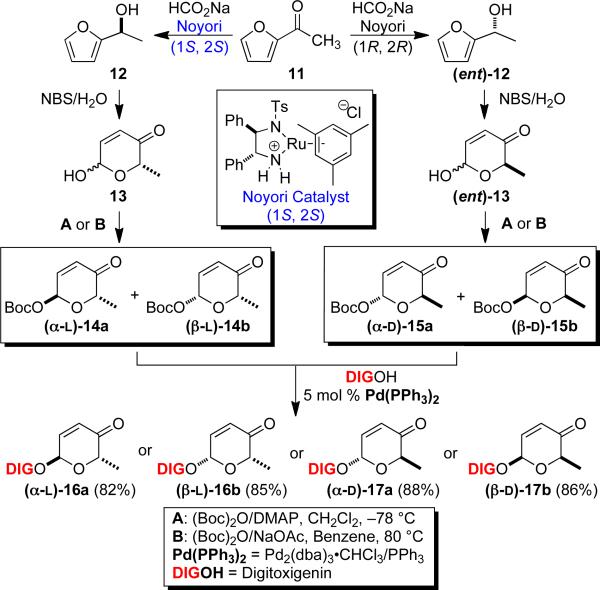 Scheme 1