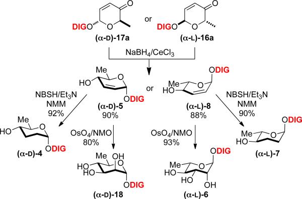 Scheme 2