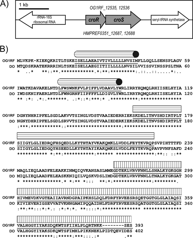 FIG 1