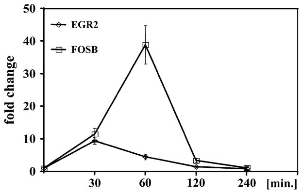 FIG 1