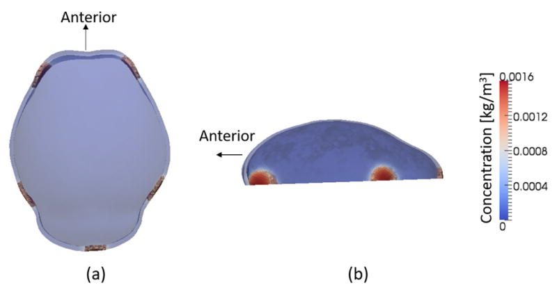 Fig. 5