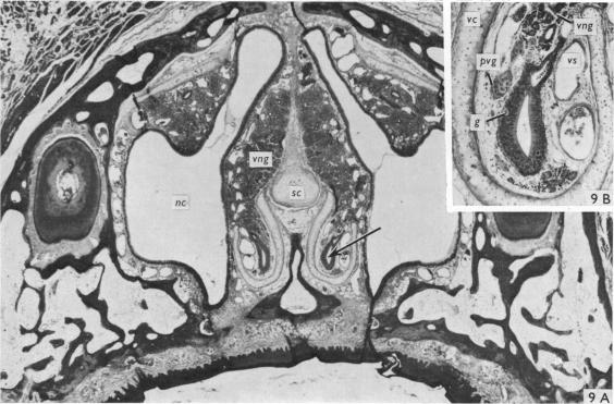 Fig. 9