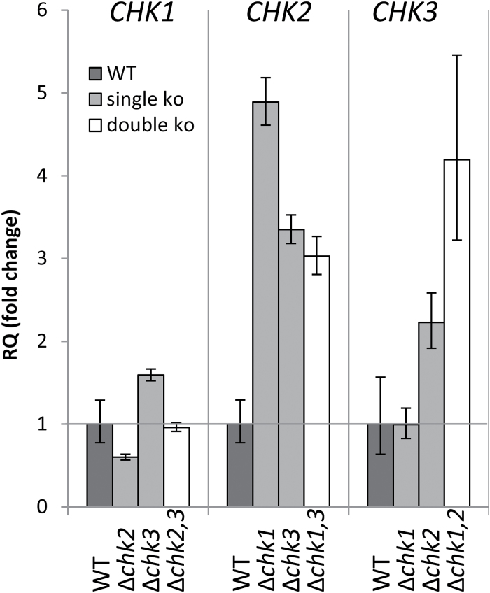 Fig. 7.