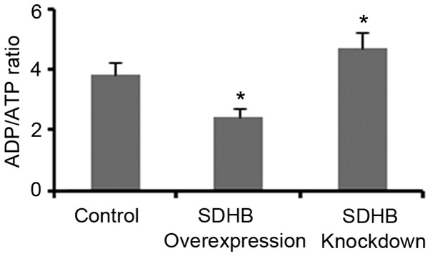 Figure 5.