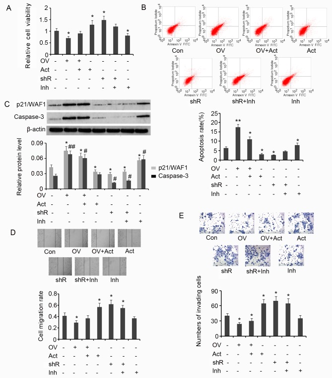 Figure 6.