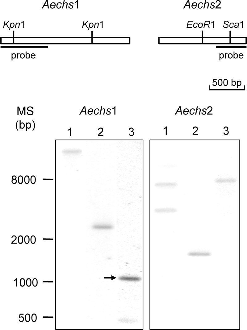 FIG. 5.