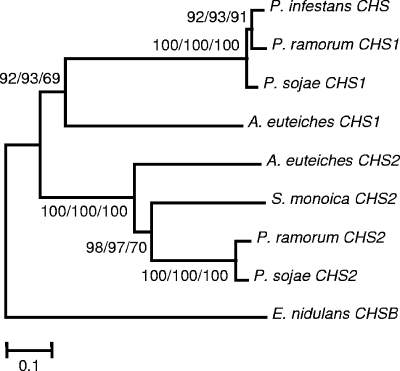 FIG. 7.