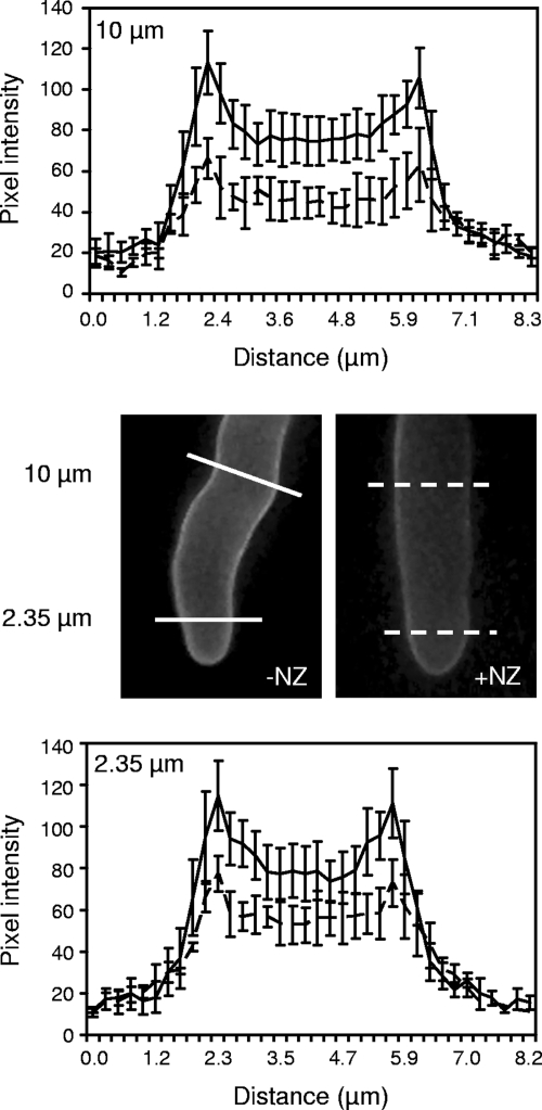 FIG. 9.