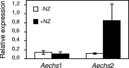 FIG. 10.