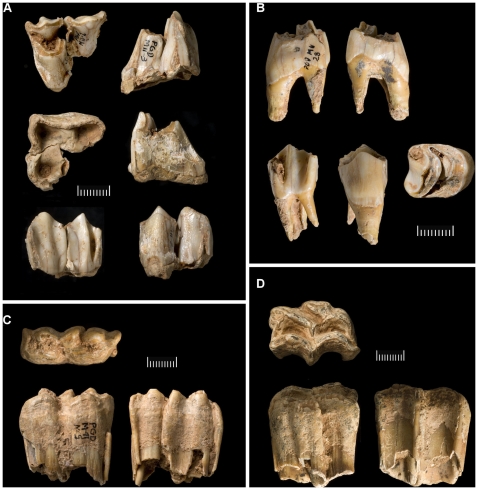 Figure 7