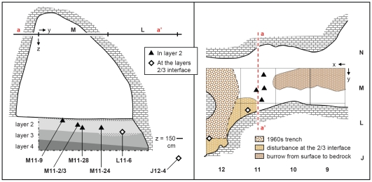 Figure 8