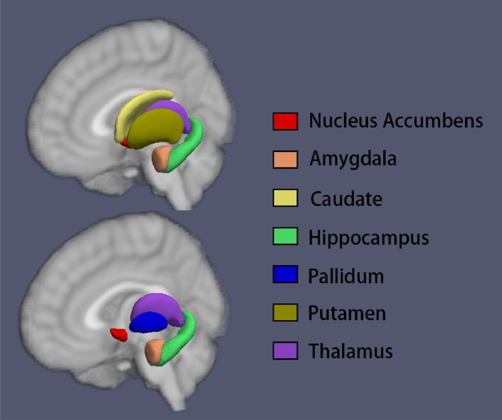 Fig. 1: