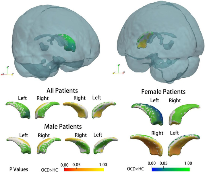 Fig. 4: