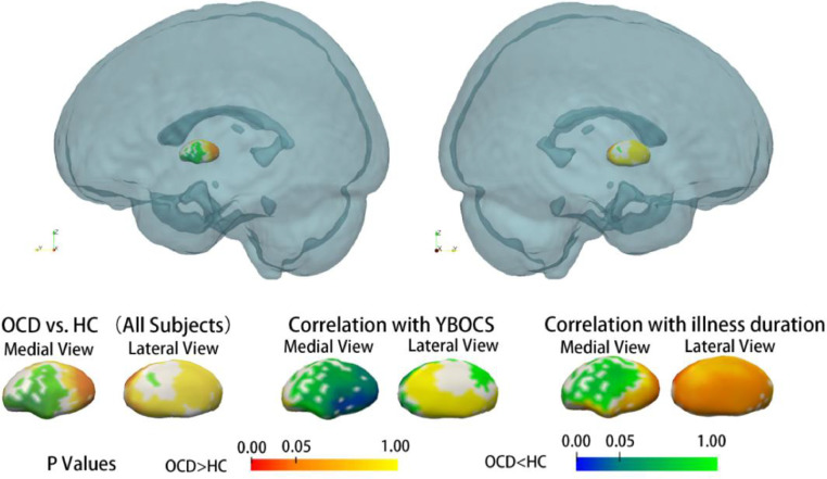 Fig. 3: