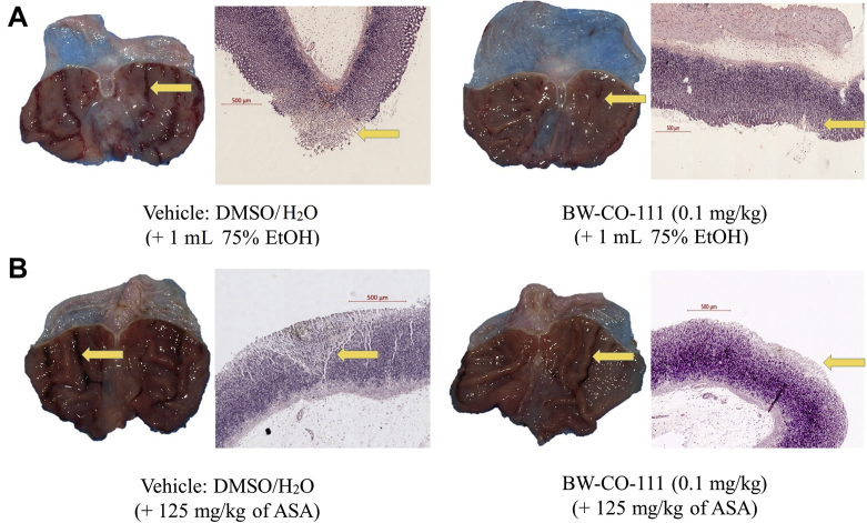 Figure 3