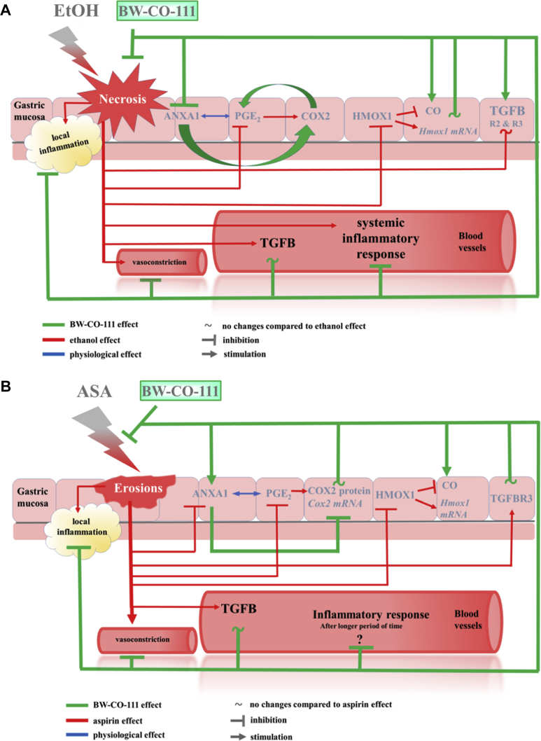 Figure 12