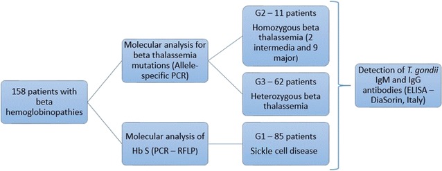 Fig. 1