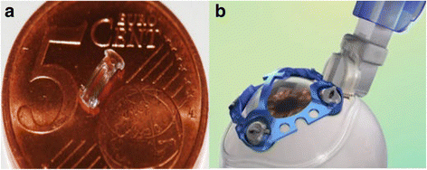 Fig. 1