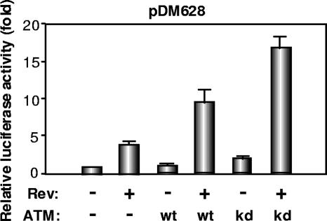 FIG. 3.