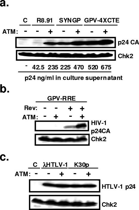 FIG. 4.