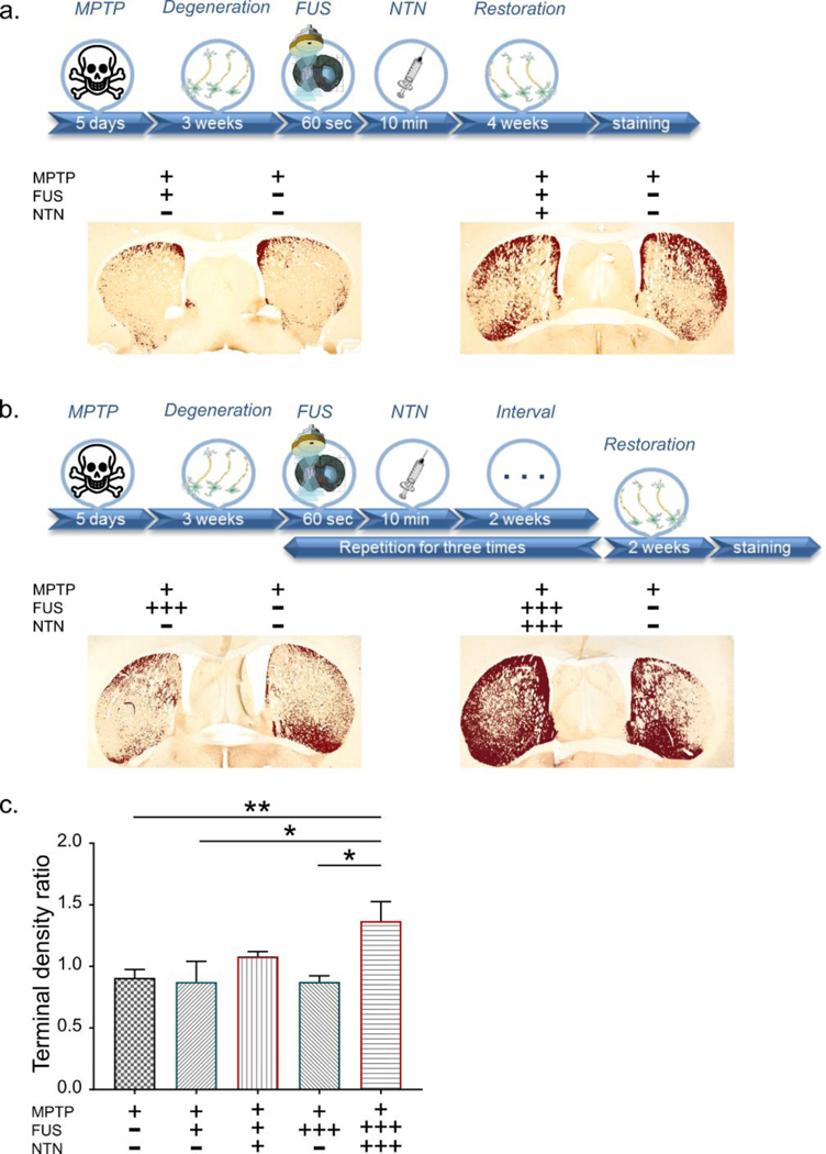 Figure 4: