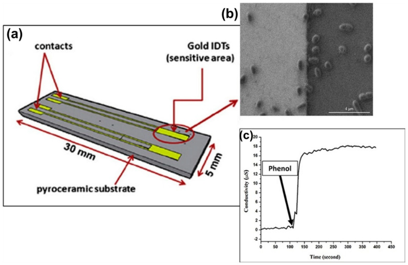 Figure 11