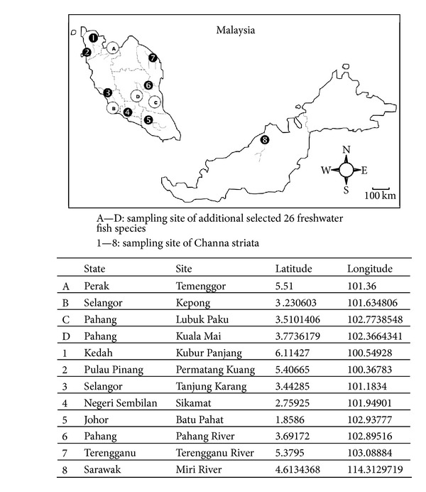 Characterisation Of Asian Snakehead Murrel Channa Striata (Channidae ...