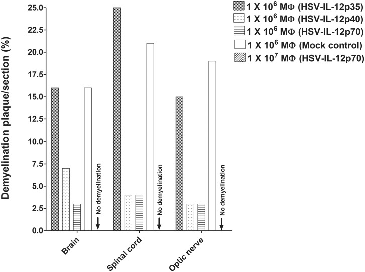 Fig 7