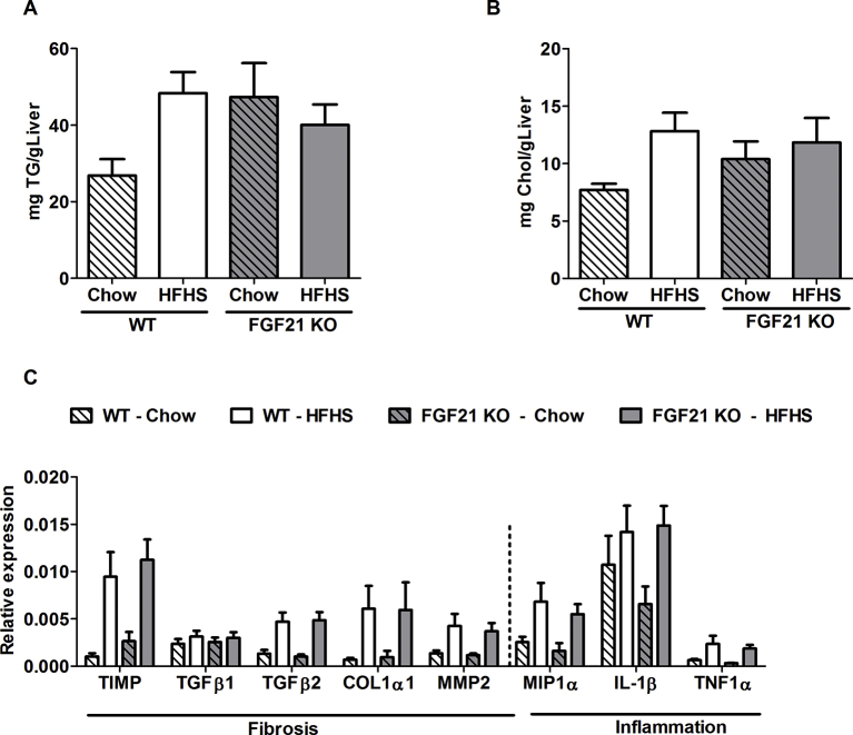 Supplementary Figure 2