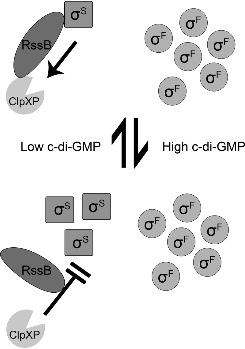 FIG 6