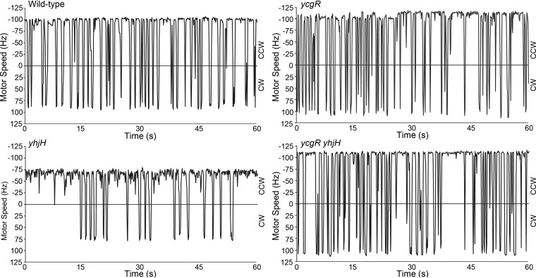 FIG 1