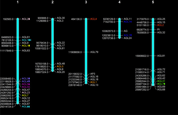 Fig. 4