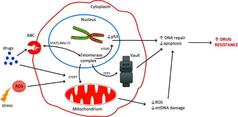 Fig. 2