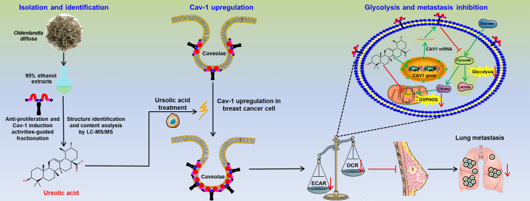 Figure 7